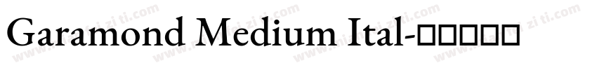 Garamond Medium Ital字体转换